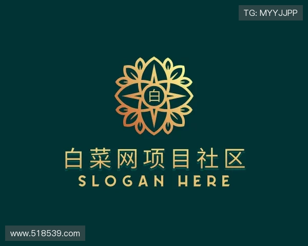 解读白菜网项目社区